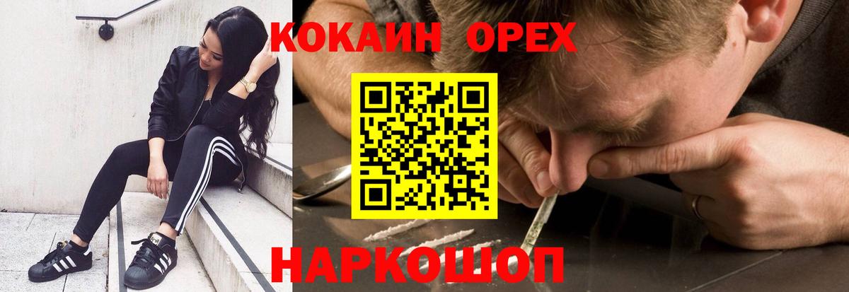 КОКАИН Боливия Можга
