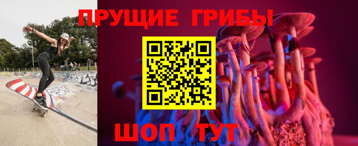 Псилоцибиновые грибы прущие грибы  Галлюциногенные грибы ЛСД  как найти наркотики  Вход с VPN  Можга 